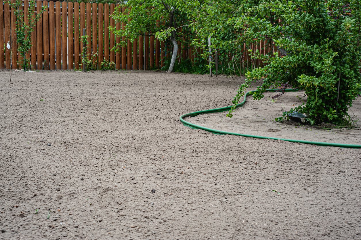 Watering newly prepared seedbed