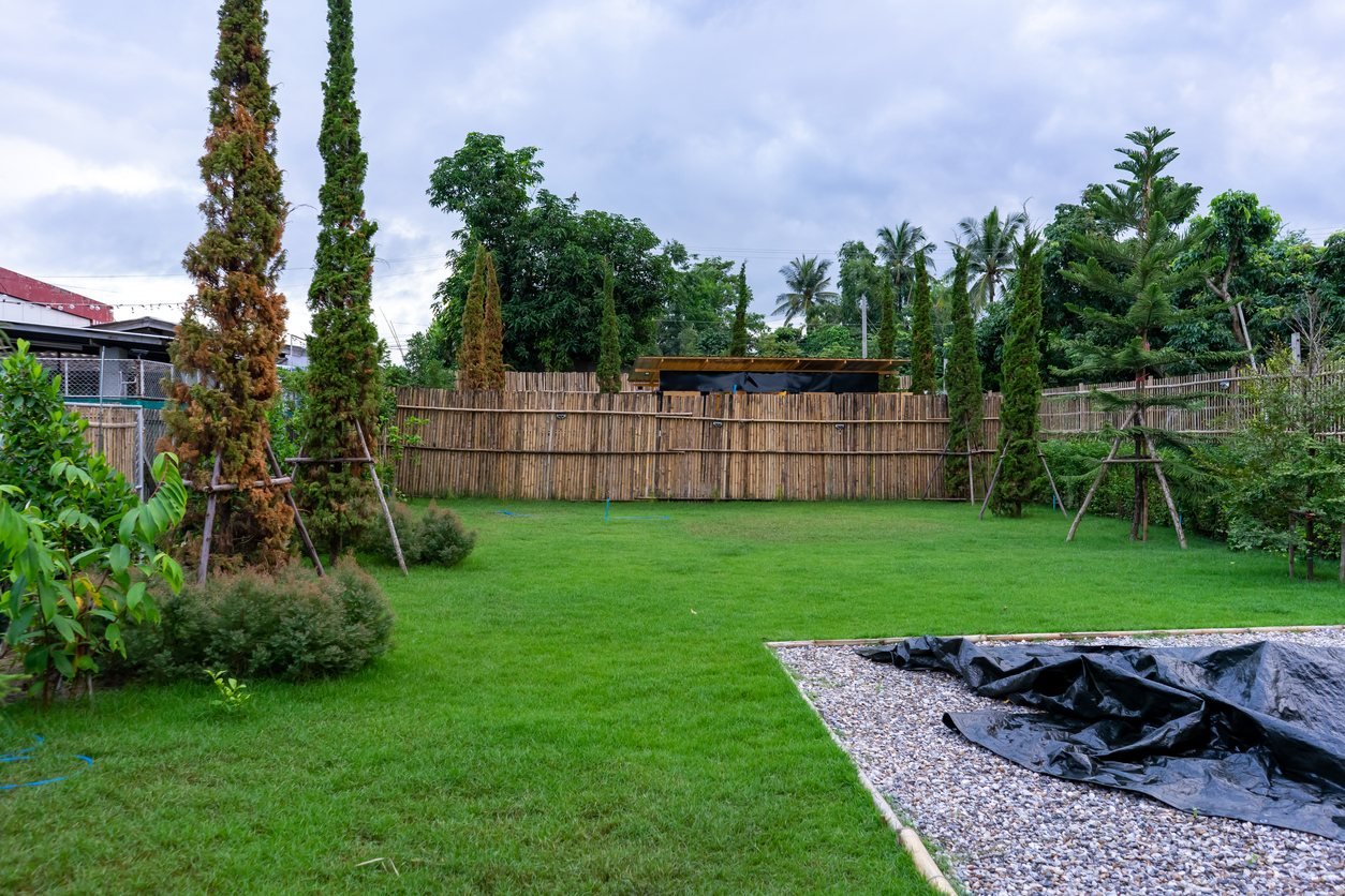 Established lawn beside a newly prepared area