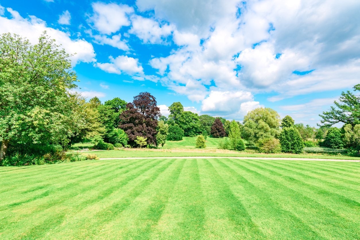 Large maintained lawn in a landscaped park