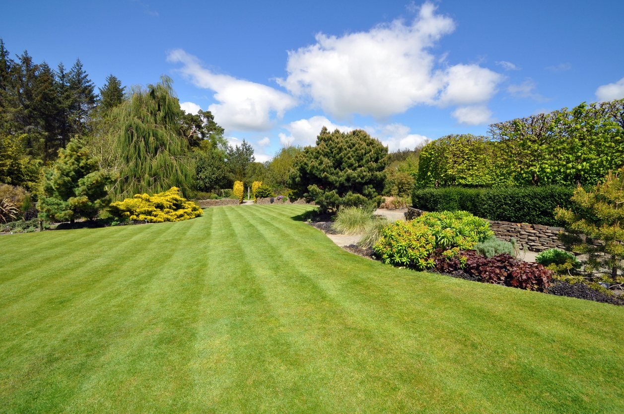 Striped lawn with garden borders