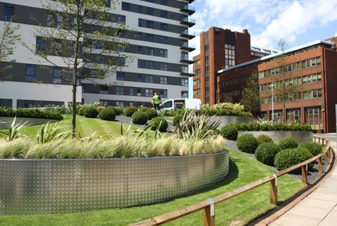Contemporary planted borders at Alencon House, Basingstoke