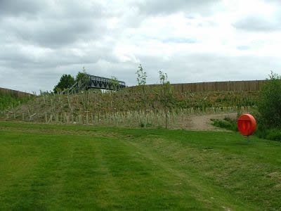 Public open space and new planting at Thatcham