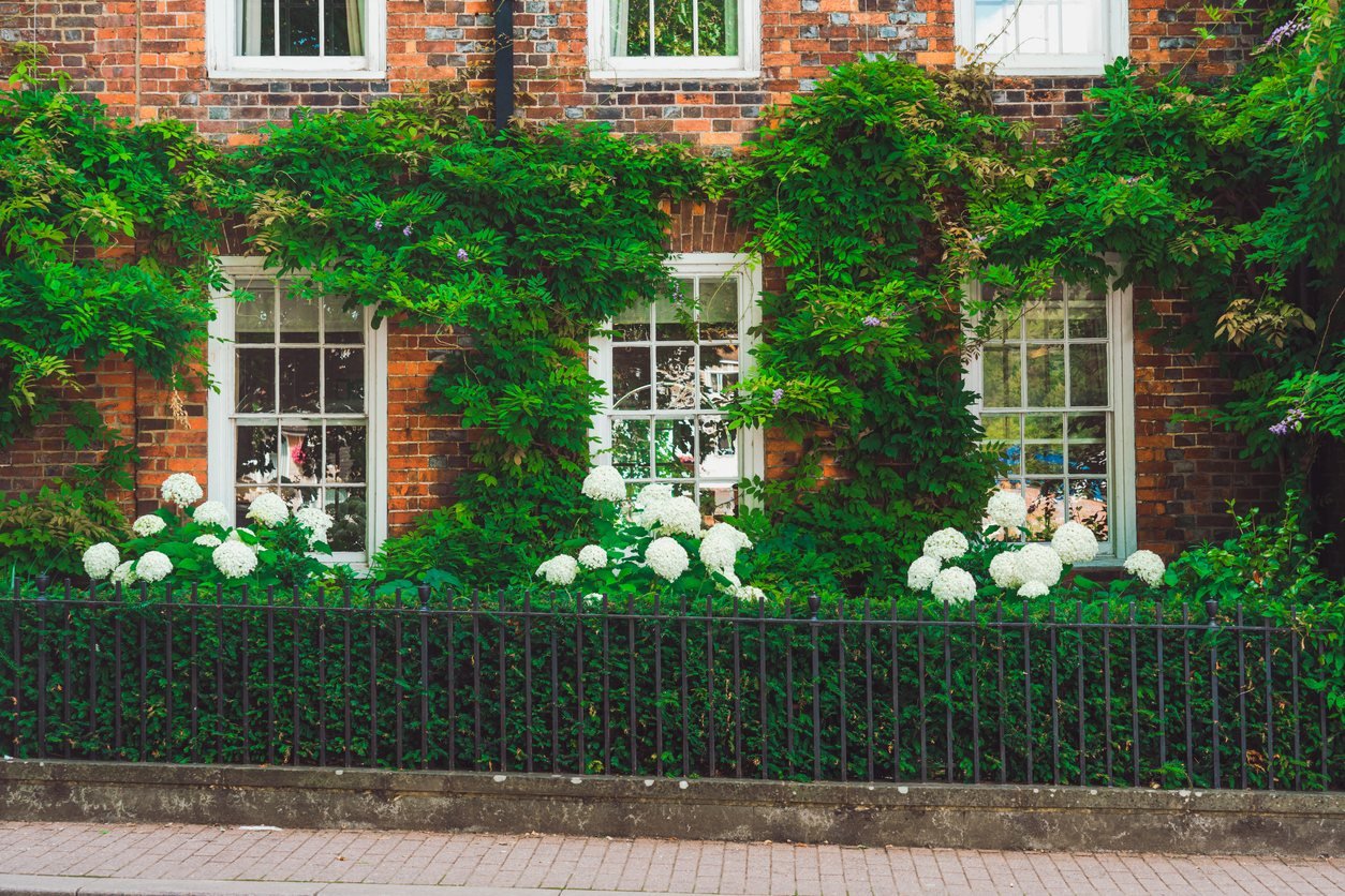 Flowering plants outside a residential property